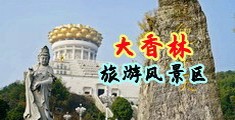 日逼视频黄免费看中国浙江-绍兴大香林旅游风景区